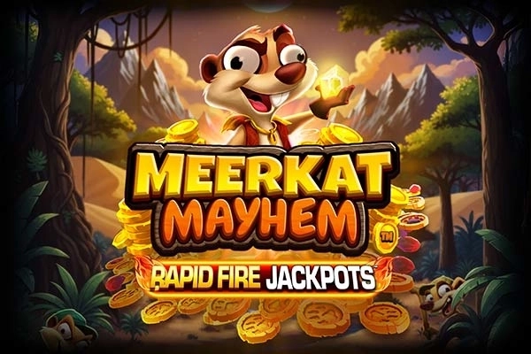 Meerkat Mayhem